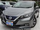 Nissan Leaf ZE1