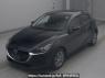 Used 2021 AT mazda mazda2 DJLFS Image[0]