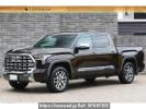 Others Tundra FUMEI