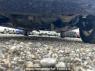 Used 2010 AT mitsubishi ek-wagon H82W Image[32]