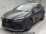 Used 2022 AT lexus nx AAZH25 Image[0]