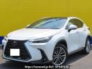 Lexus NX AAZH25