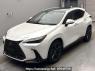 Used 2023 AT lexus nx AAZH20 Image[0]
