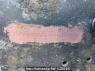 Used 1997 MT isuzu forward FRR33D4 Image[21]