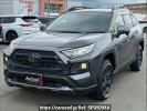 Toyota RAV4 MXAA54