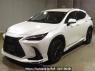 Used 2023 AT lexus nx AAZH20 Image[0]