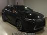 Used 2025 AT lexus ux MZAH11 Image[2]