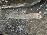 Used 1999 MT mitsubishi-fuso fighter FK628G Image[6]