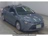 Used 2019 AT toyota corolla-sedan ZWE211 Image[0]