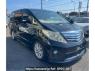 Used 2010 AT toyota alphard ANH20W Image[0]