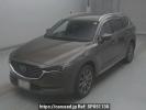 Mazda CX-8 KG2P