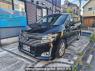 Used 2010 AT nissan elgrand TE52 Image[1]