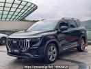 Geely Haoyue MR6491D01