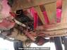 Used 1999 MT hino ranger FC2JCBD Image[53]
