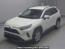 Used 2019 AT toyota rav4 MXAA54 Image[0]