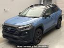 Toyota RAV4 AXAH54