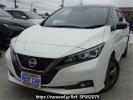 Nissan Leaf ZE1