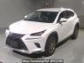 Used 2019 AT lexus nx AYZ10 Image[0]
