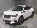 Peugeot 2008 P24HN05