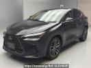 Lexus NX AAZH20