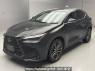 Used 2023 AT lexus nx AAZH20 Image[0]