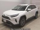 Toyota RAV4 AXAH54
