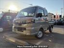 Suzuki Carry Truck DA16T
