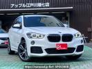 BMW X1 HT20
