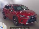 Lexus NX AGZ10