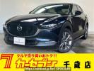 Mazda CX-30 DM8P