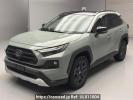 Toyota RAV4 AXAH54