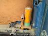 Used 1991 MT toyota toyoace-truck BU67D Image[43]