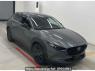 Used 2023 AT mazda cx-30 DM8R Image[0]