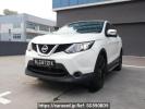 Nissan Qashqai others