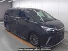 Lexus LM TAWH15W
