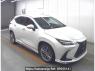 Used 2023 AT lexus nx AAZH26 Image[0]