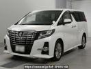 Toyota Alphard AGH30W