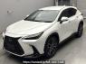 Used 2023 AT lexus nx AAZH20 Image[0]