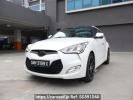 Hyundai Veloster others
